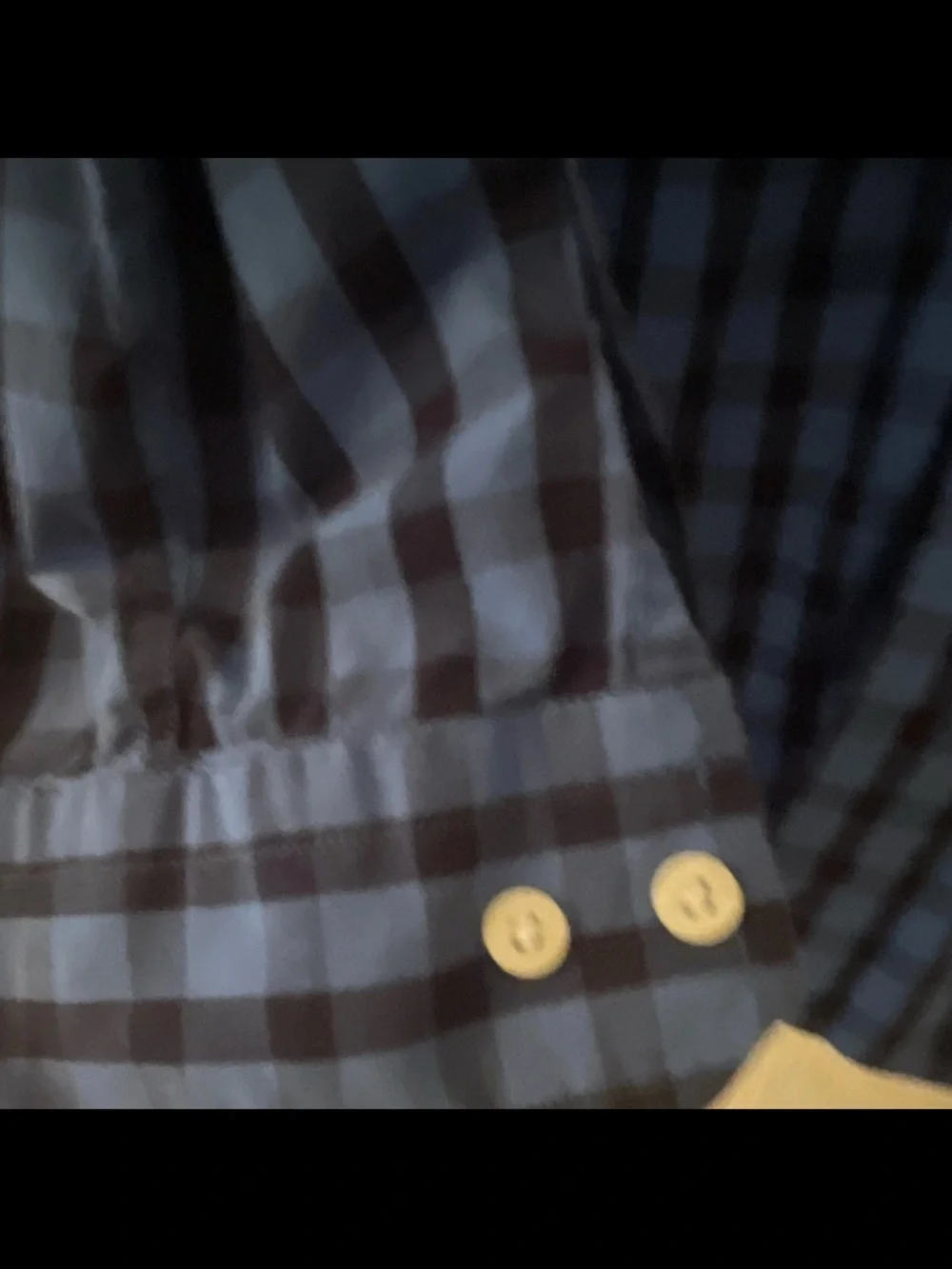 L Men's Blue Check Button-Down Shirt
